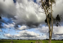 探索海角天涯论坛社区的魅力